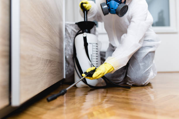 Best Pest Control Near Me in Faribault, MN