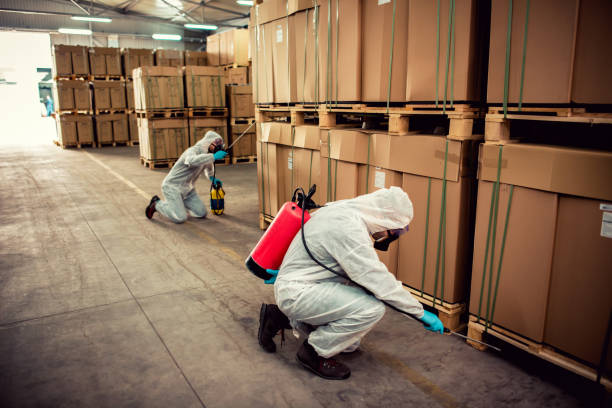 Best Emergency Pest Control  in Faribault, MN