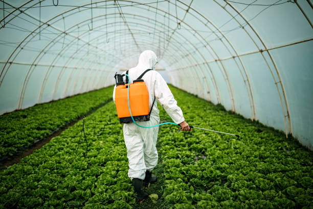 Best Local Pest Control Services  in Faribault, MN