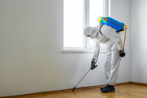 Best Termite Control Services  in Faribault, MN