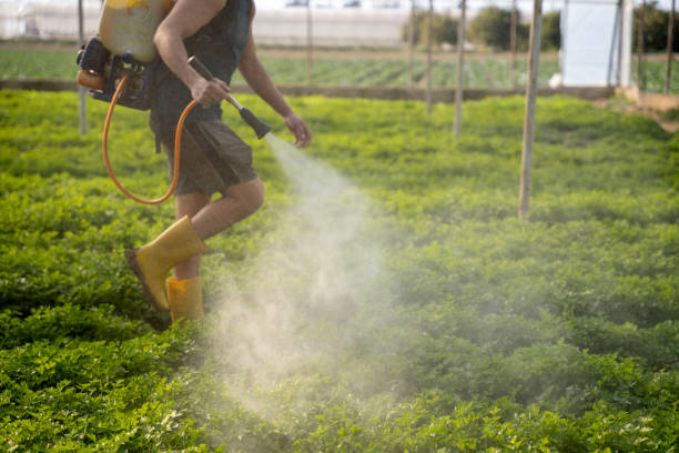 Best Affordable Pest Control Services  in Faribault, MN