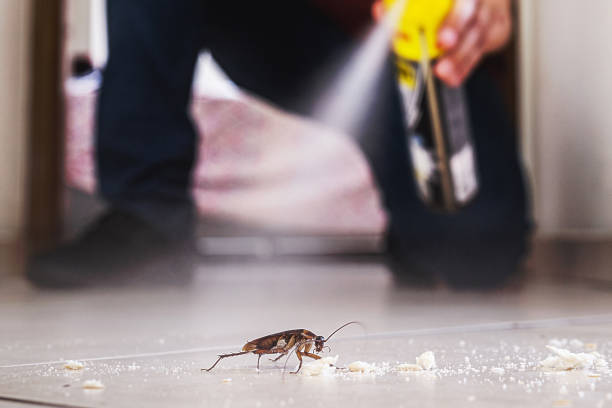 Best Exterminator Services  in Faribault, MN