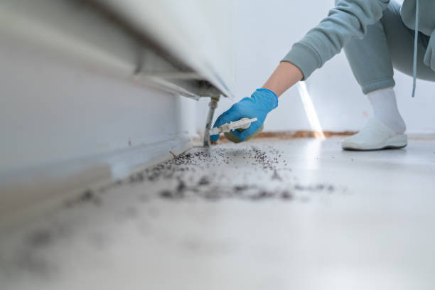 Best Affordable Pest Control Services  in Faribault, MN