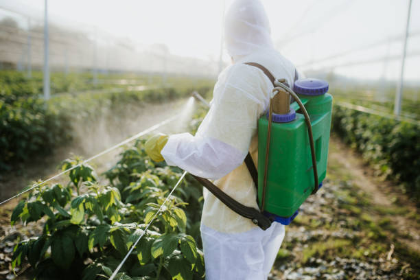Best Bed Bug Extermination  in Faribault, MN